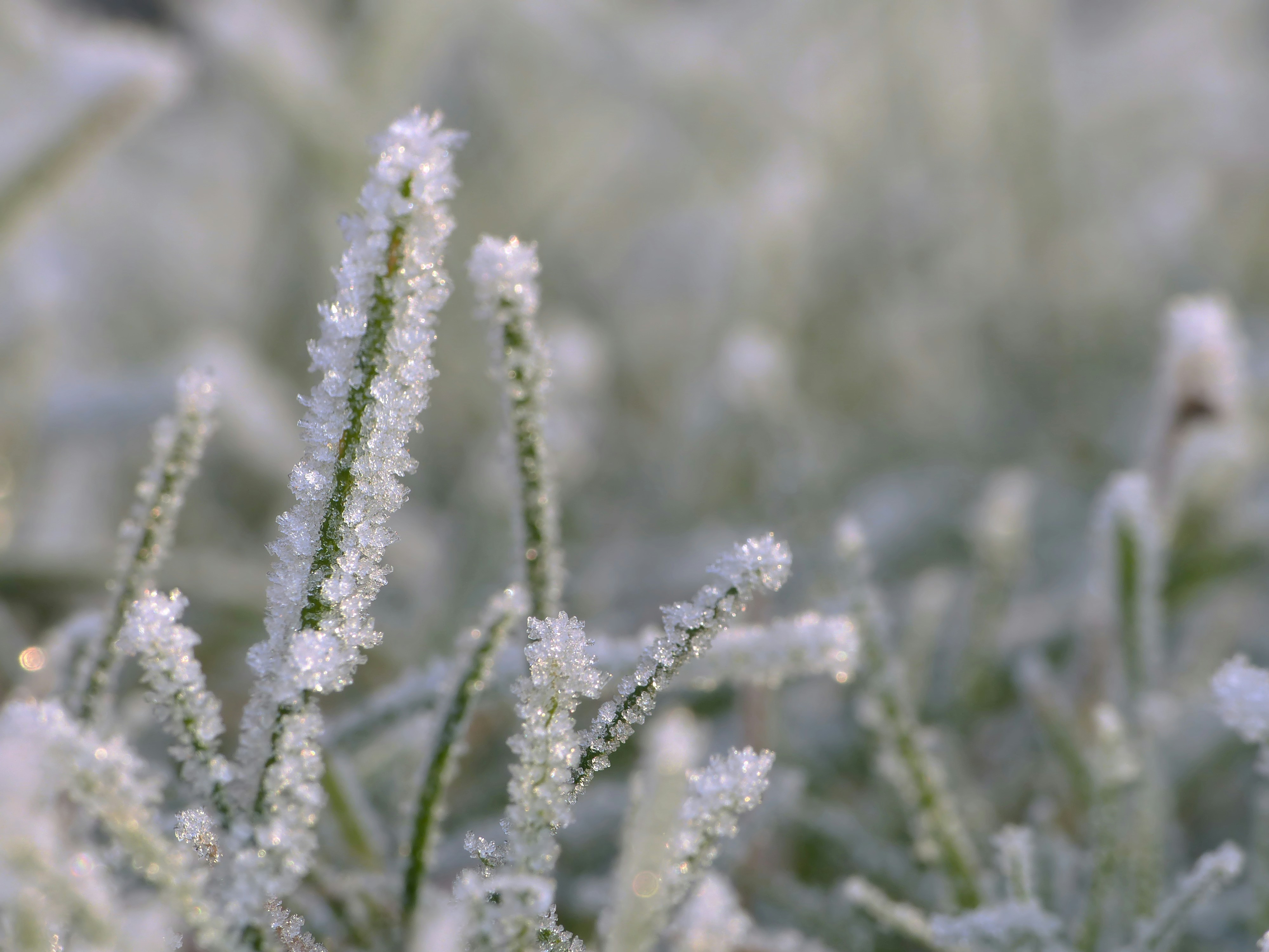 Photo by j_blueberry