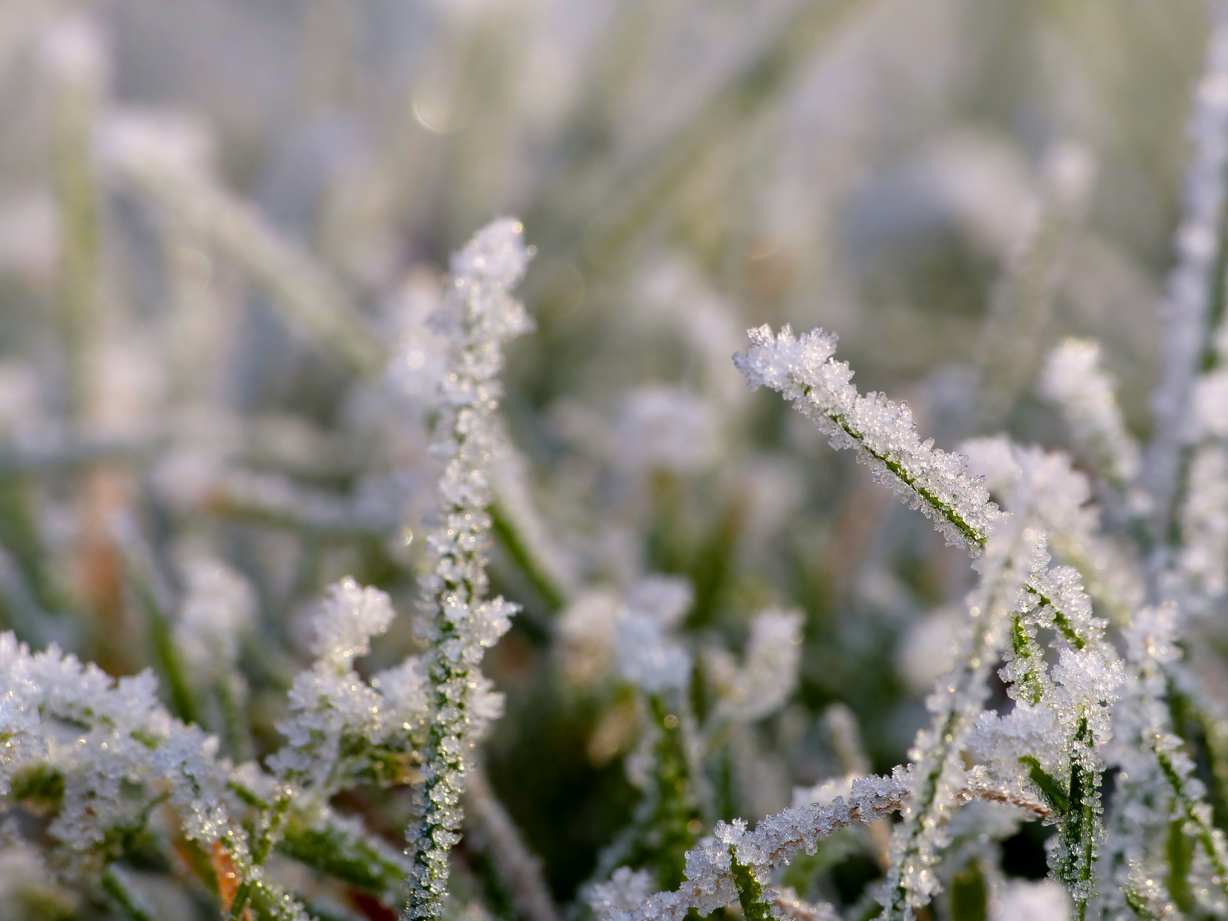 Photo by j_blueberry