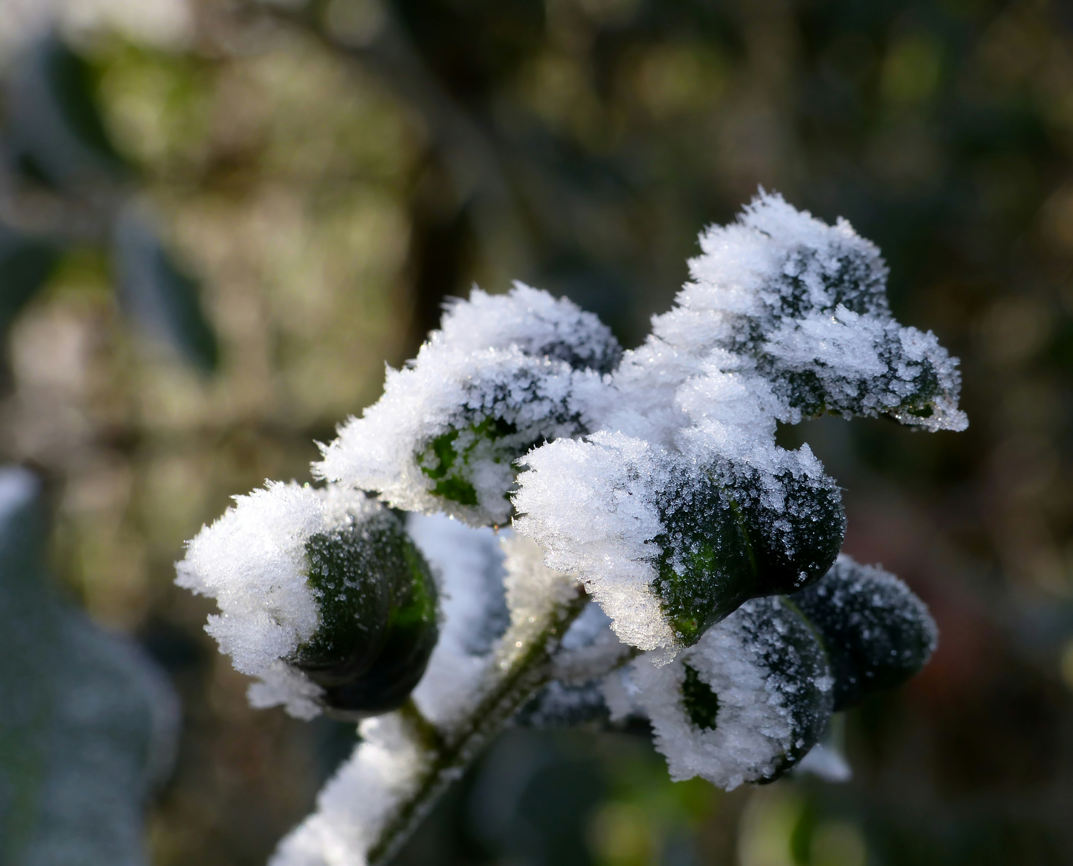 Photo by j_blueberry