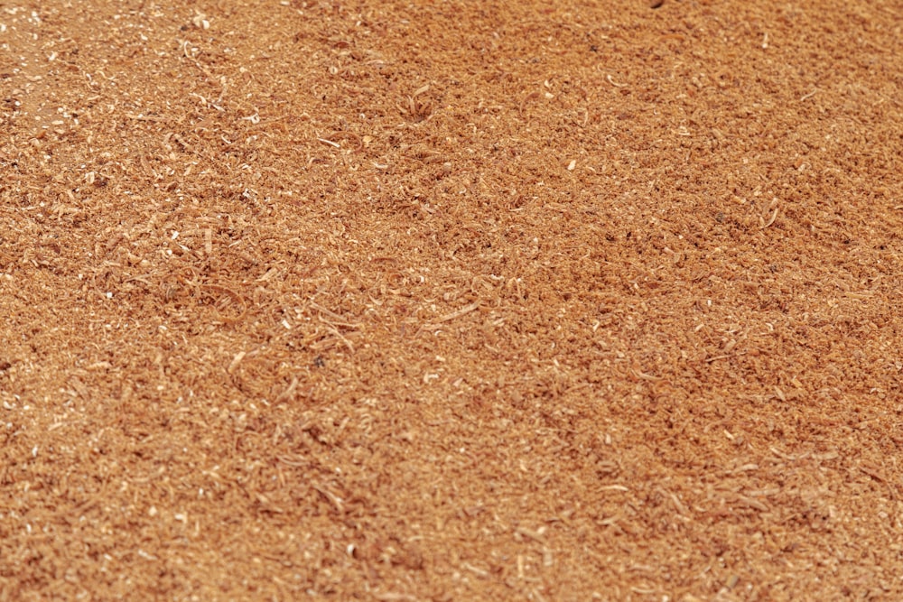 um taco de beisebol deitado em um campo de beisebol