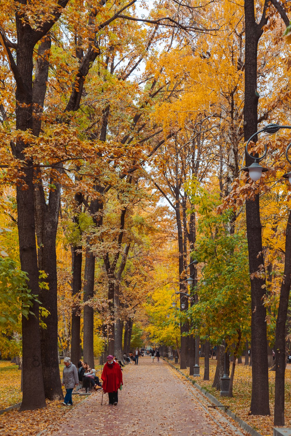 a group of people walking down a leaf covered road