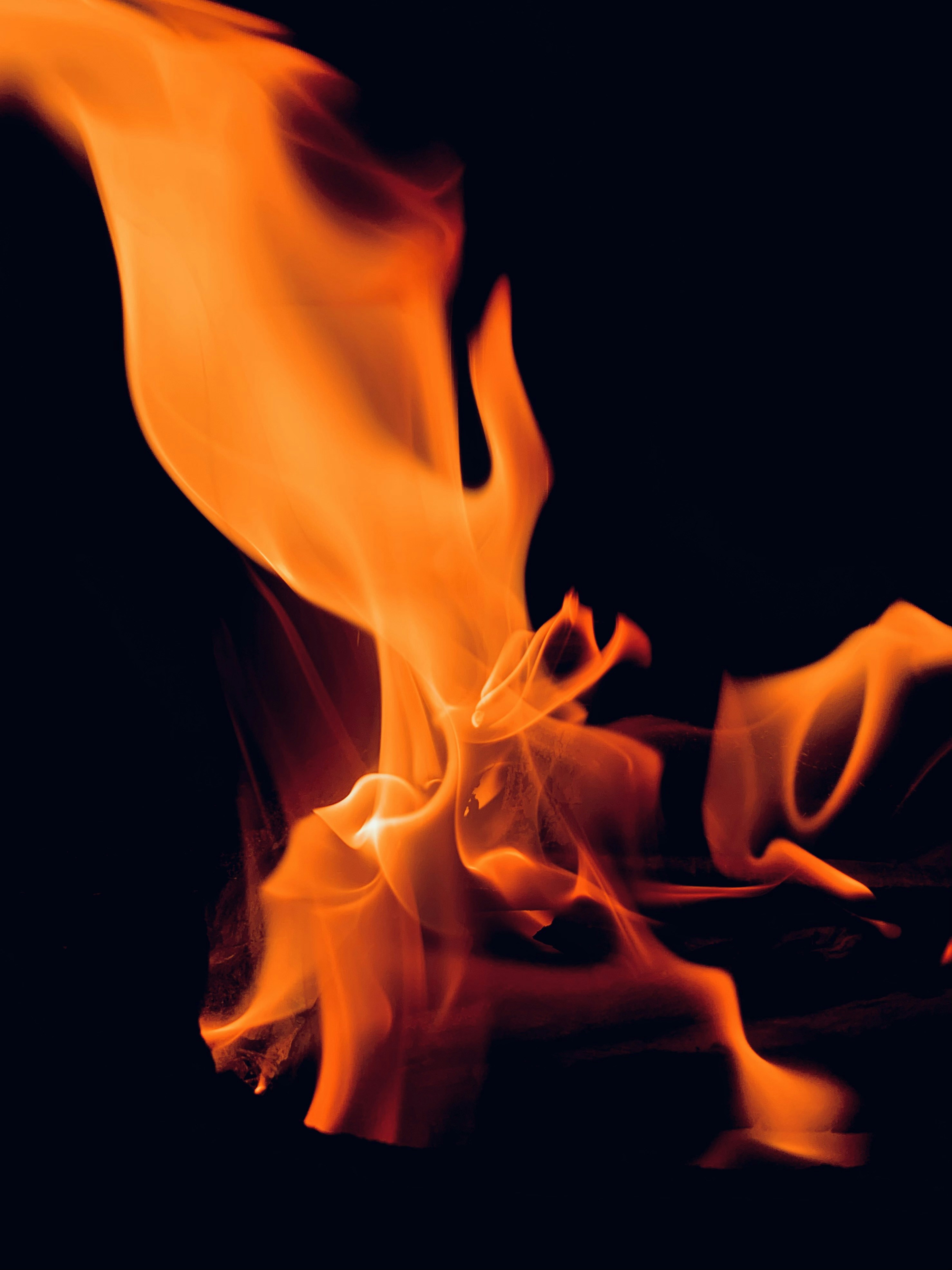 Photo by roshanprajapati