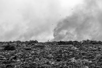 A vast expanse of a landfill or dump site covered in various types of garbage and debris. Several birds can be seen flying or scavenging over the landfill. In the background, smoke rises into a cloudy sky, creating a sense of pollution and environmental degradation.
