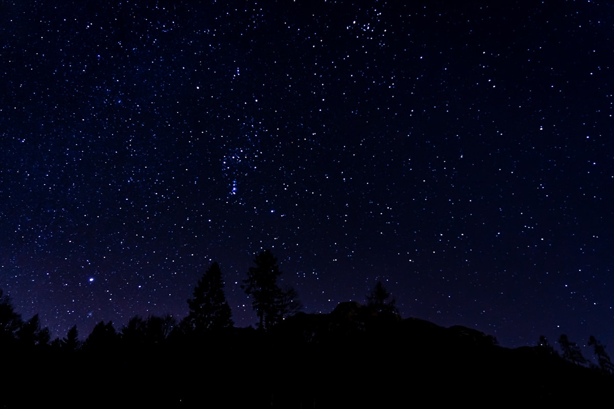 the night sky is filled with stars and trees