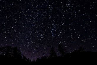 the night sky is filled with stars and trees