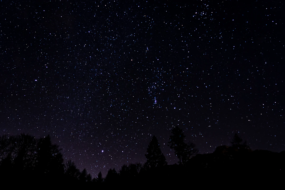 A bright seven-pointed star against the night sky