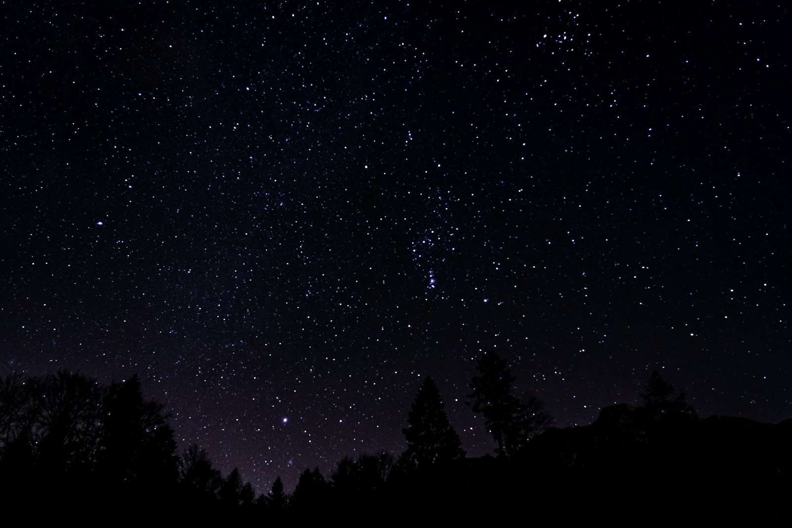 The night sky is filled with stars and trees