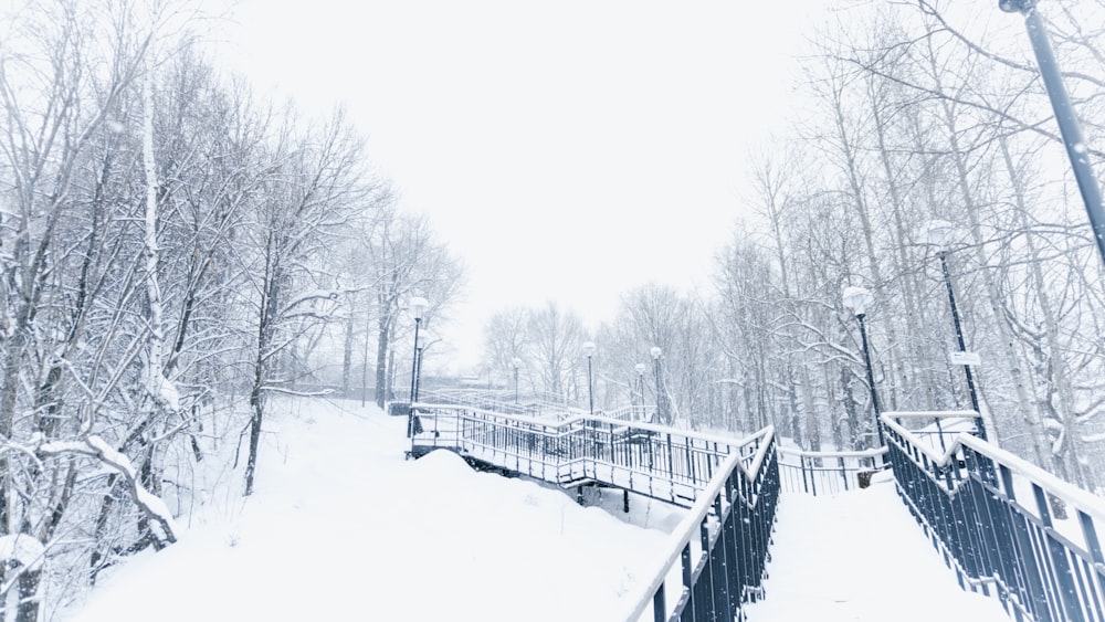 a snow covered park with a bridge and trees
