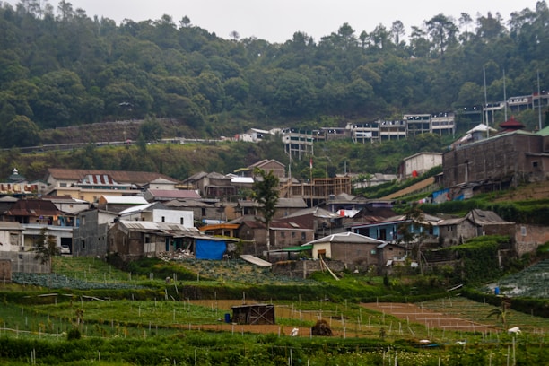 A rural village scene with a cluster of small houses positioned at the base of a green, tree-covered hillside. The buildings vary in color and material, with some displaying corrugated metal roofs and others made of stone or wood. Surrounding the village are neatly organized agricultural fields with visible row patterns, indicating active farming. The overall setting conveys a sense of rural tranquility, surrounded by lush vegetation.