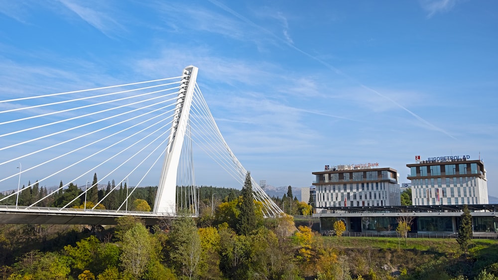 uma grande ponte branca sobre um rio ao lado de um edifício alto