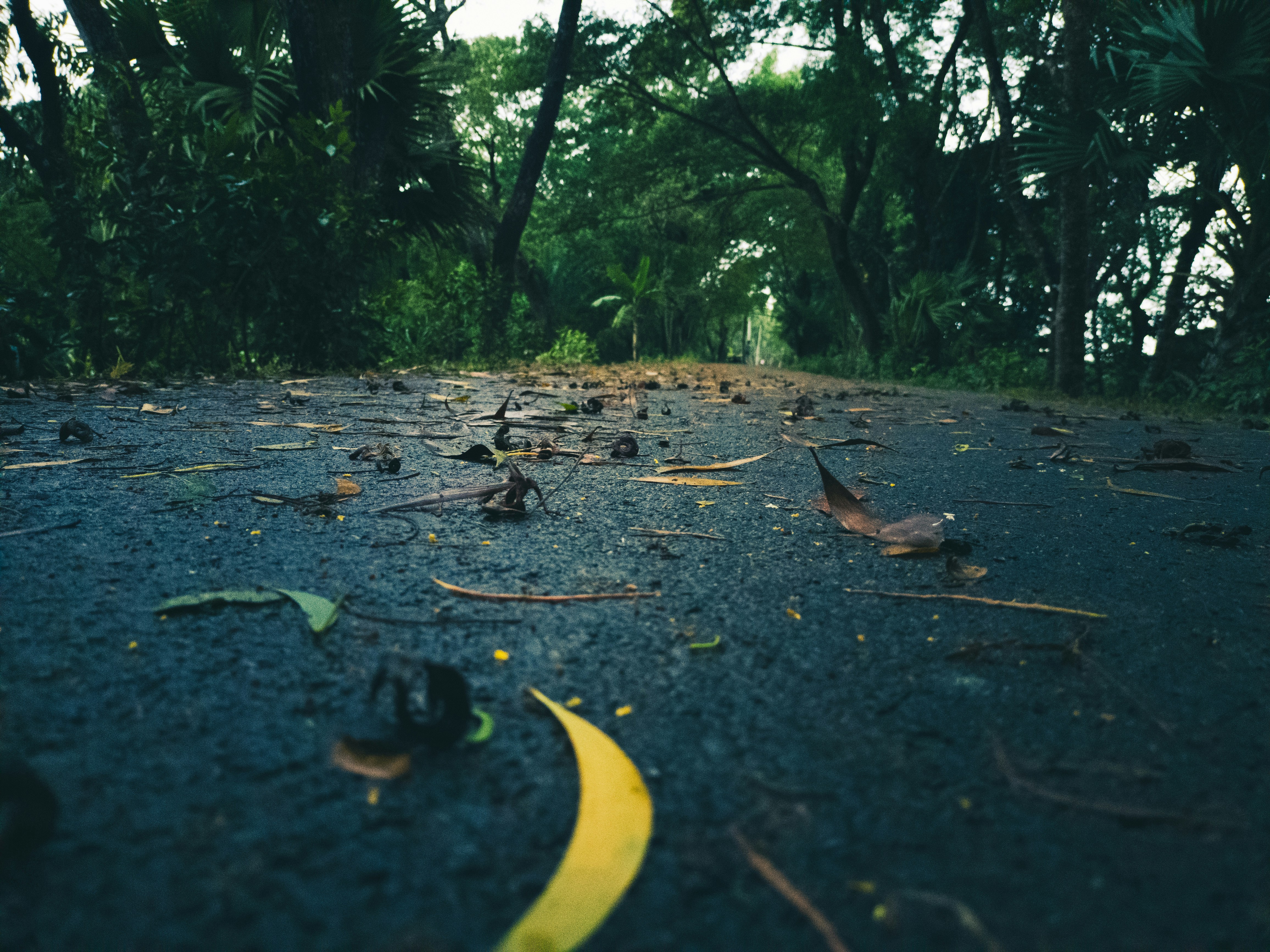 Falling Over Pictures | Download Free Images on Unsplash
