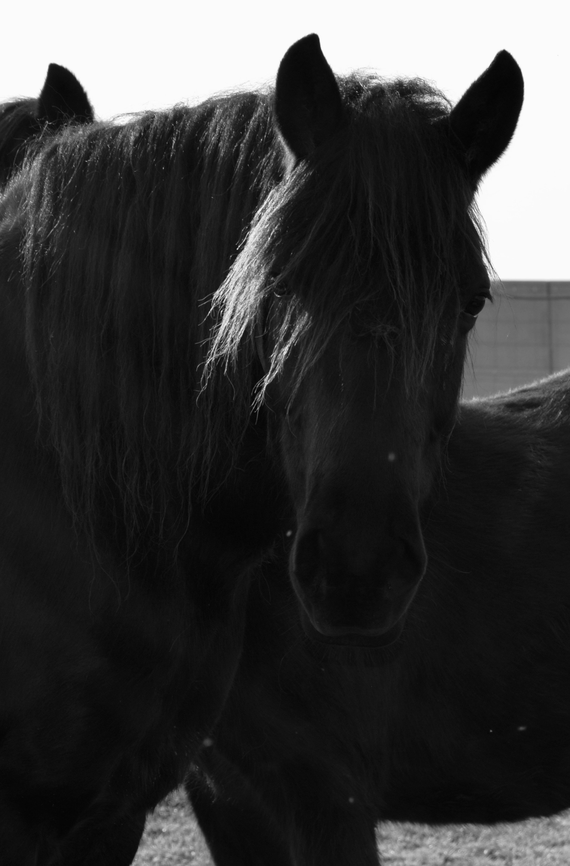 Photo by solmedoariza