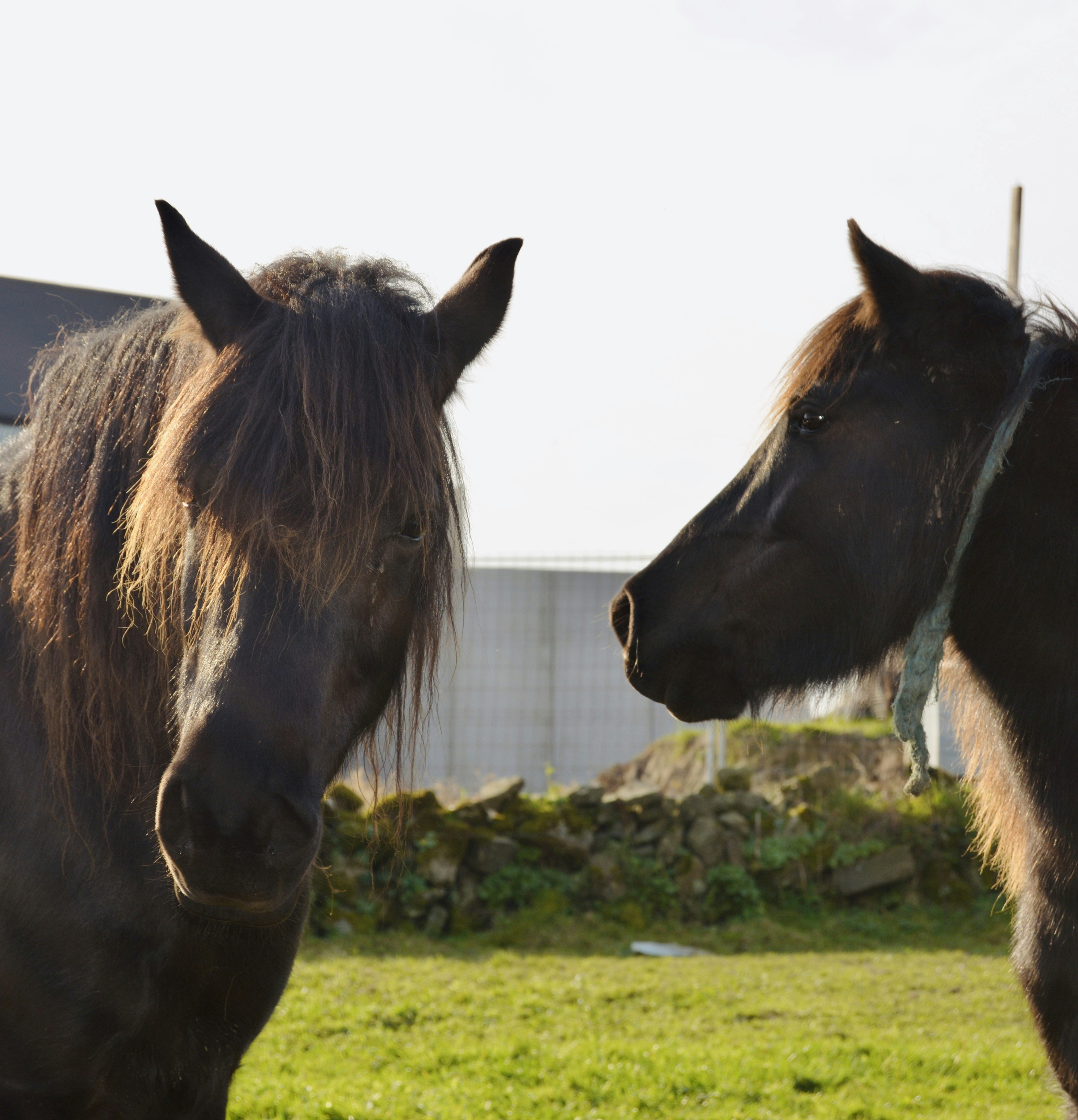 Photo by solmedoariza