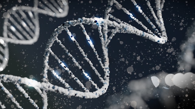 DNA双螺旋结构的发现者是 dna双螺旋结构的发现者是女的