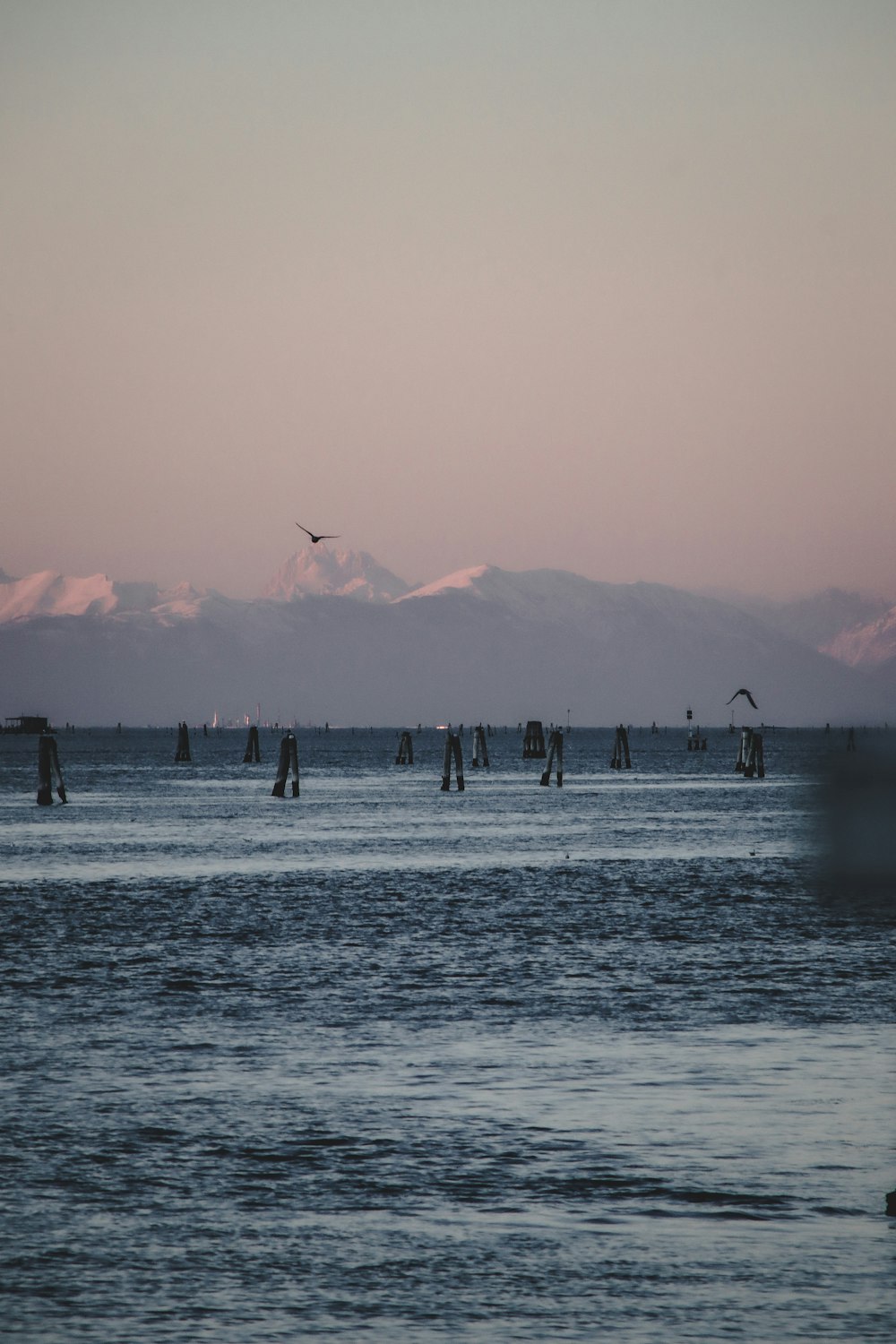 a large body of water with a bunch of boats in it