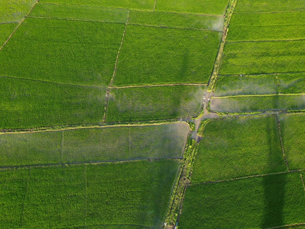 an aerial view of a lush green field