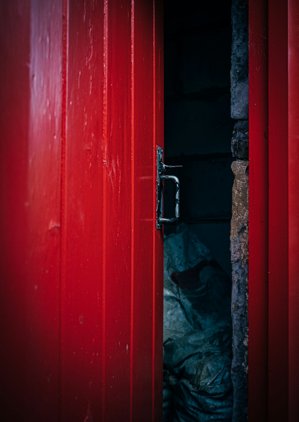 a cat that is laying down in a red door