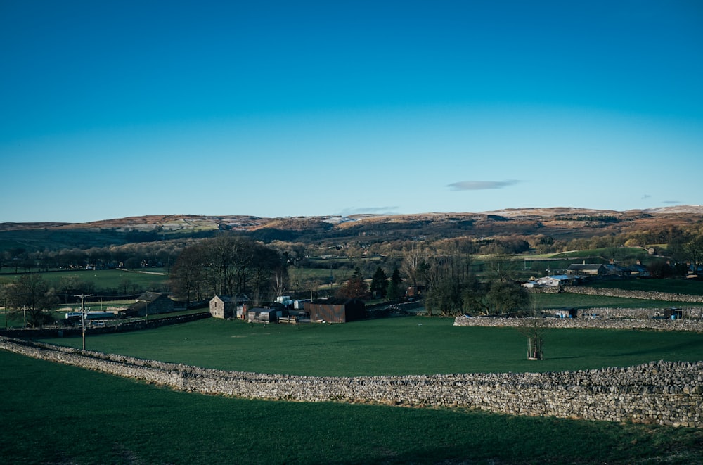 a green field with a stone wall and trees