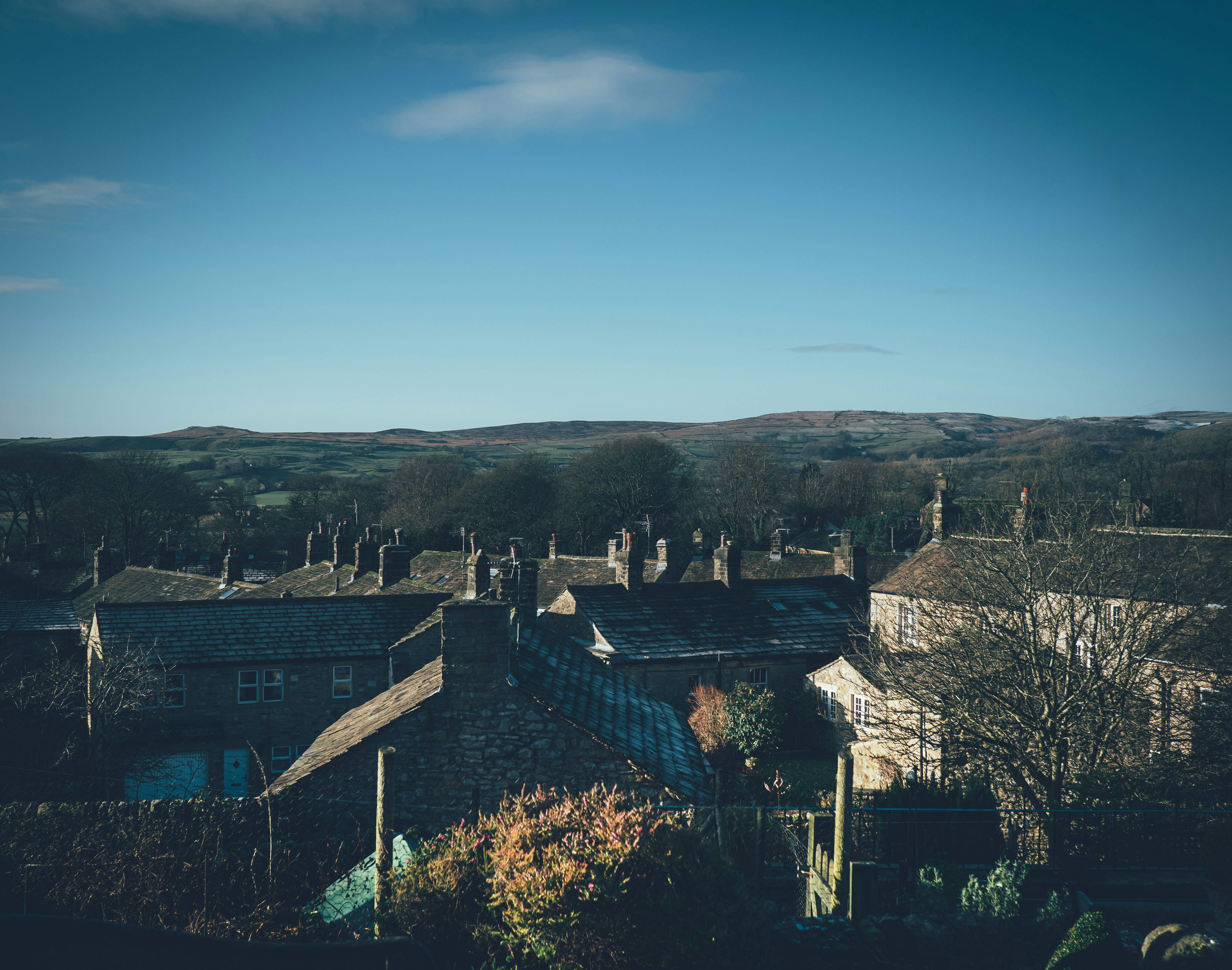 Photo by gregwillson