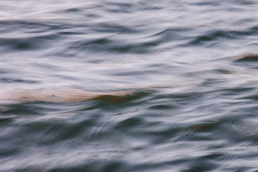 uma foto borrada de um corpo de água