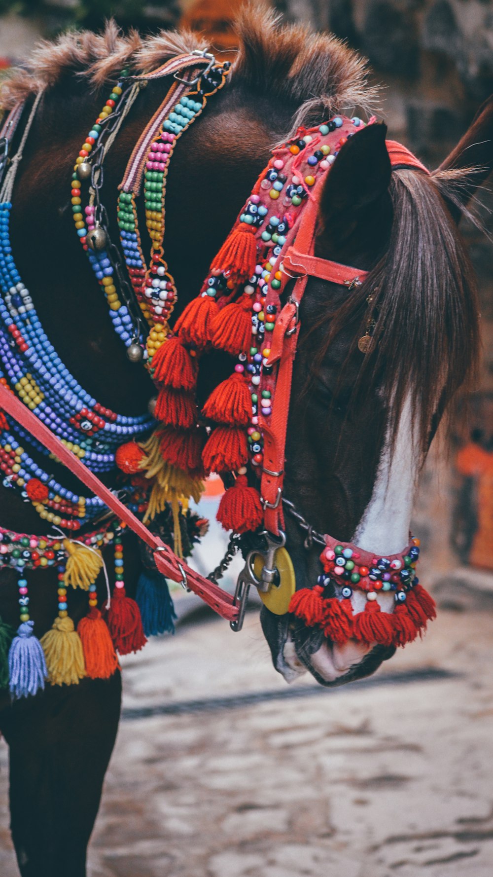 Un cheval brun avec un harnais coloré sur le dos