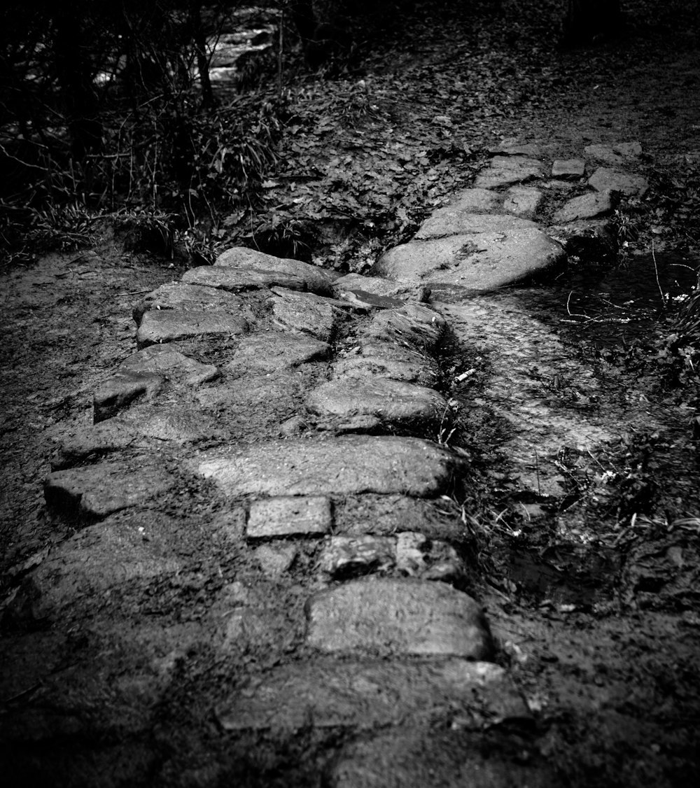 a black and white photo of a stone path