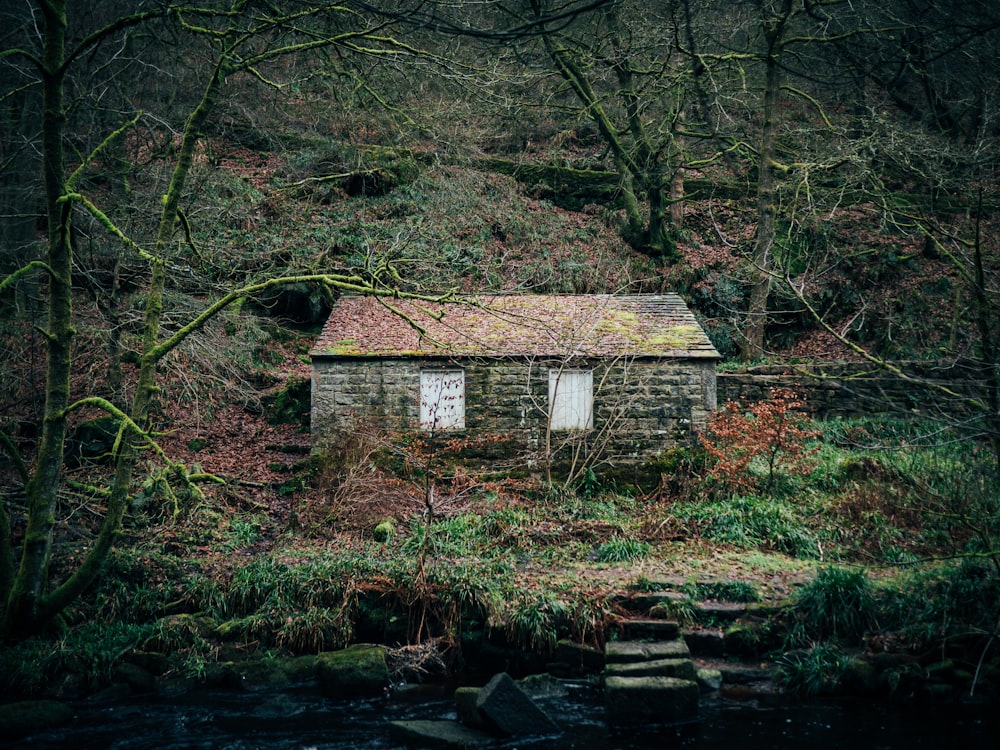 a small building in the middle of a forest