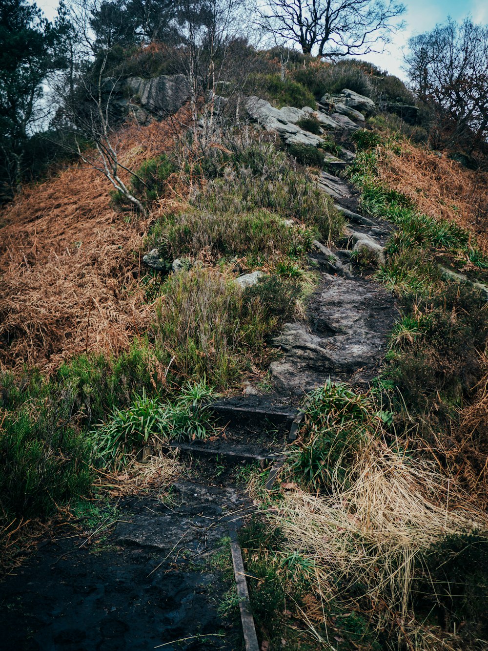 a set of steps leading up a hill