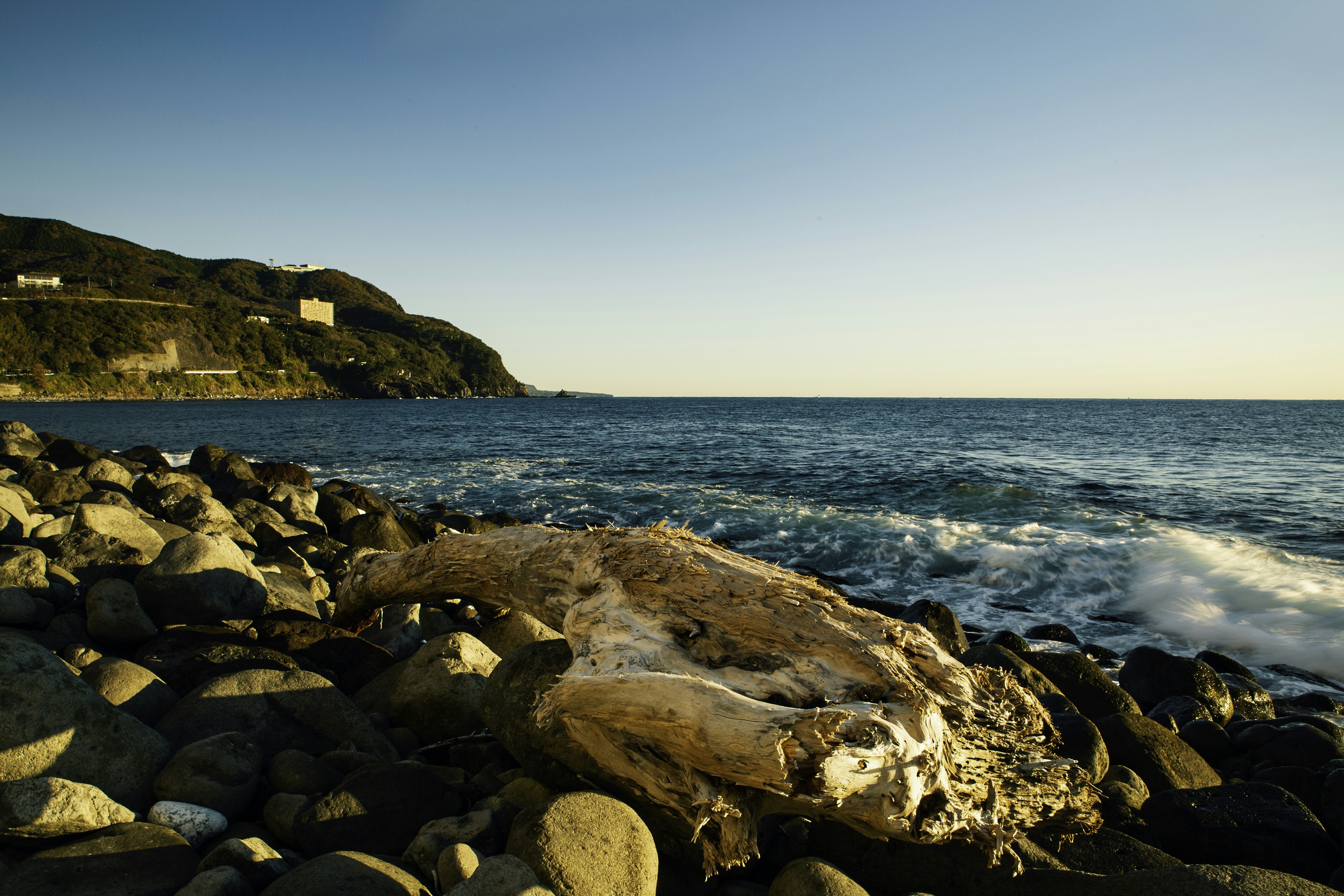 Photo by magarroshan