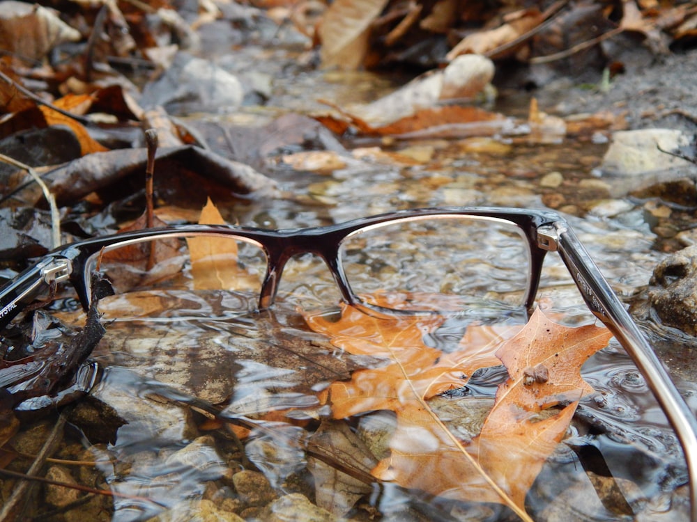 a pair of glasses sitting on top of a puddle of water