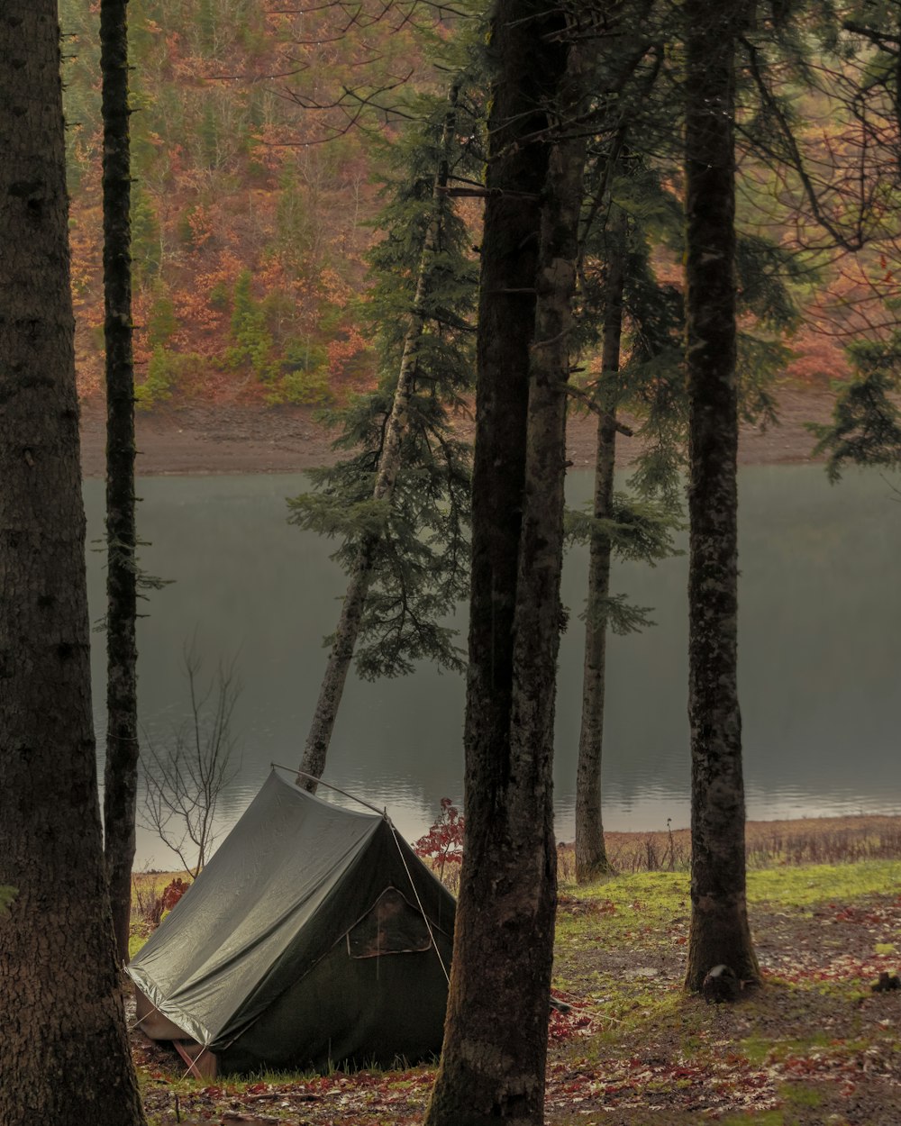 a tent in the woods next to a lake