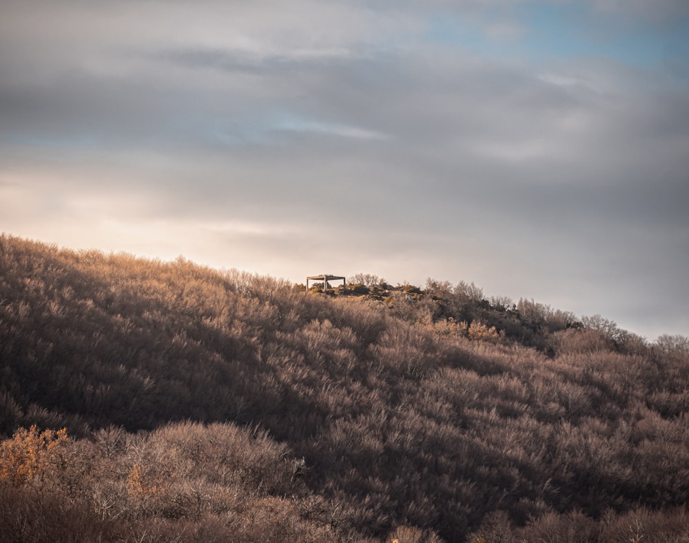 a hill with a house on top of it