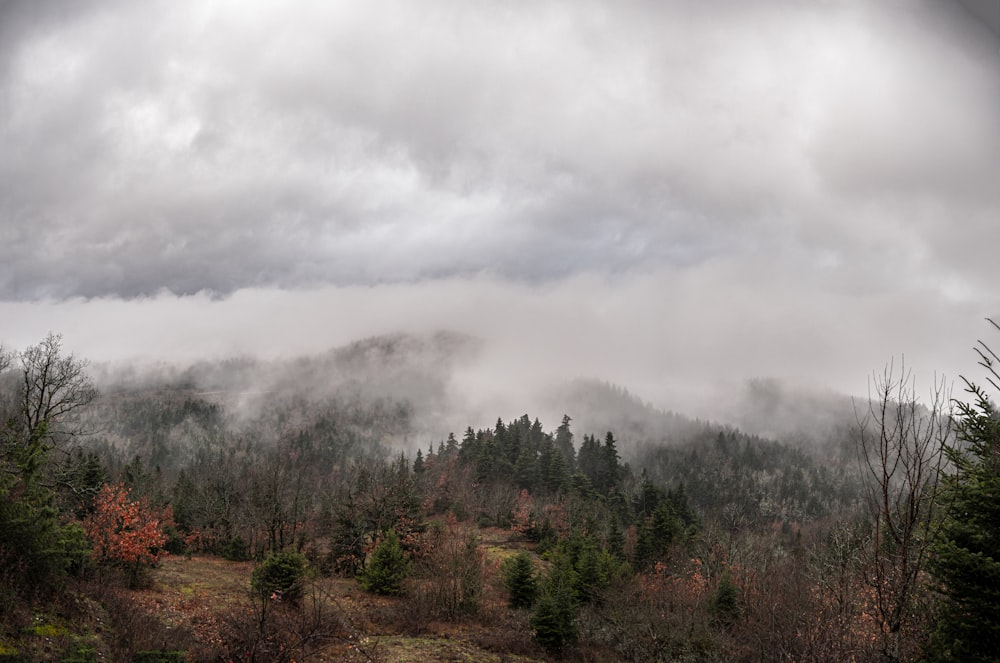 a mountain covered in clouds and trees on a cloudy day