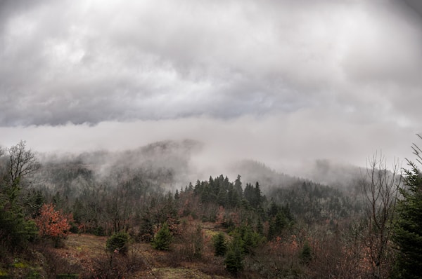Exploring Karditsa: A Local's Guide