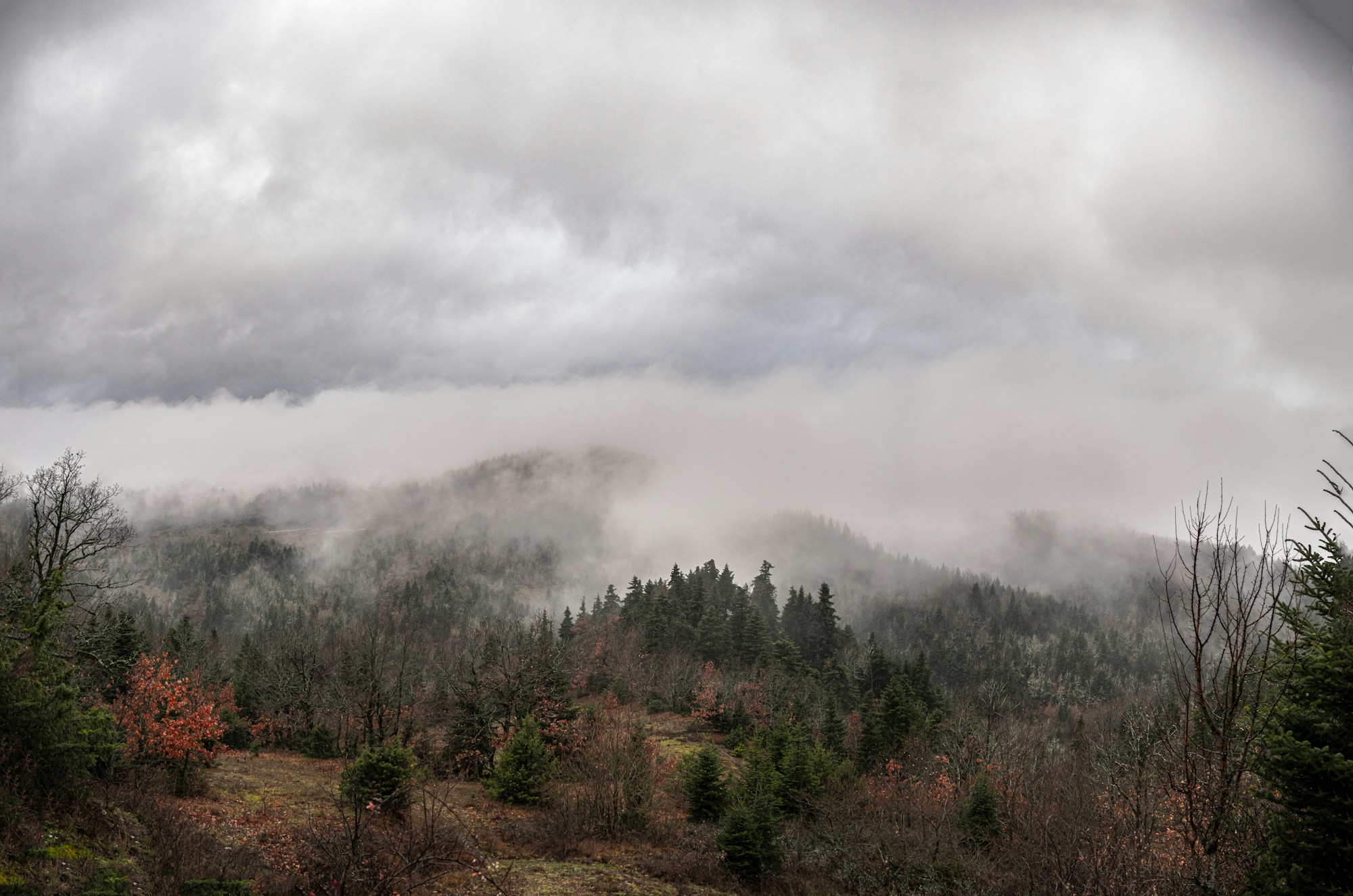 Best Time to Visit Karditsa: Weather Guide