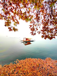 a boat floating on top of a lake surrounded by leaves