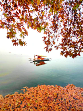 a boat floating on top of a lake surrounded by leaves