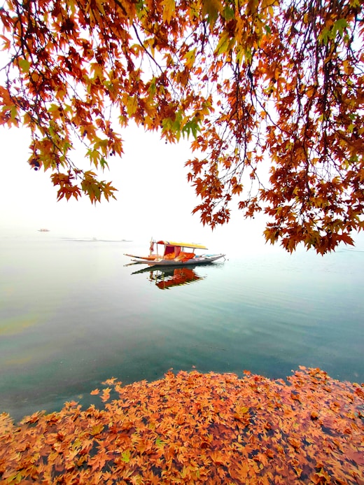 a boat floating on top of a lake surrounded by leaves