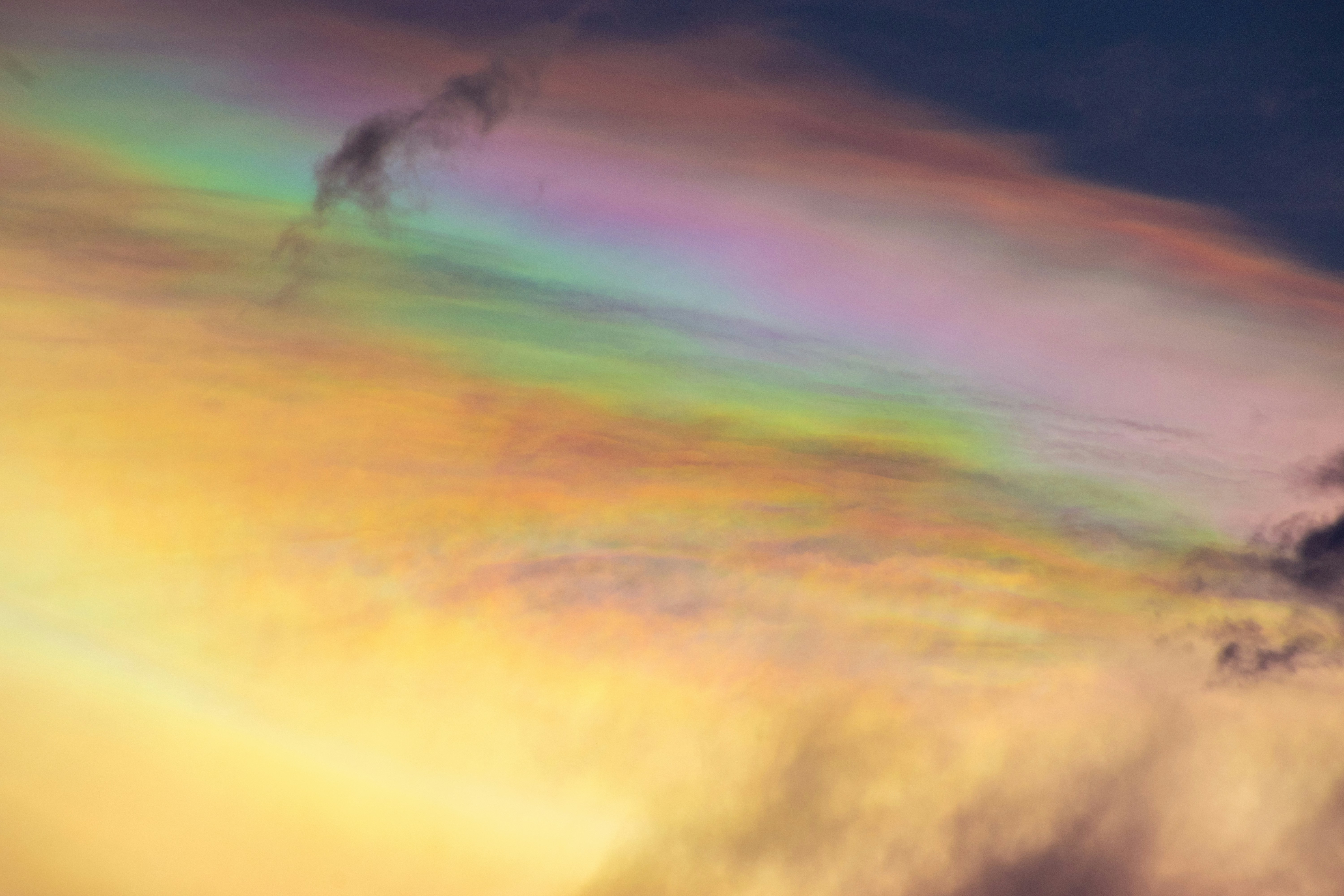 Photo by navi_photography