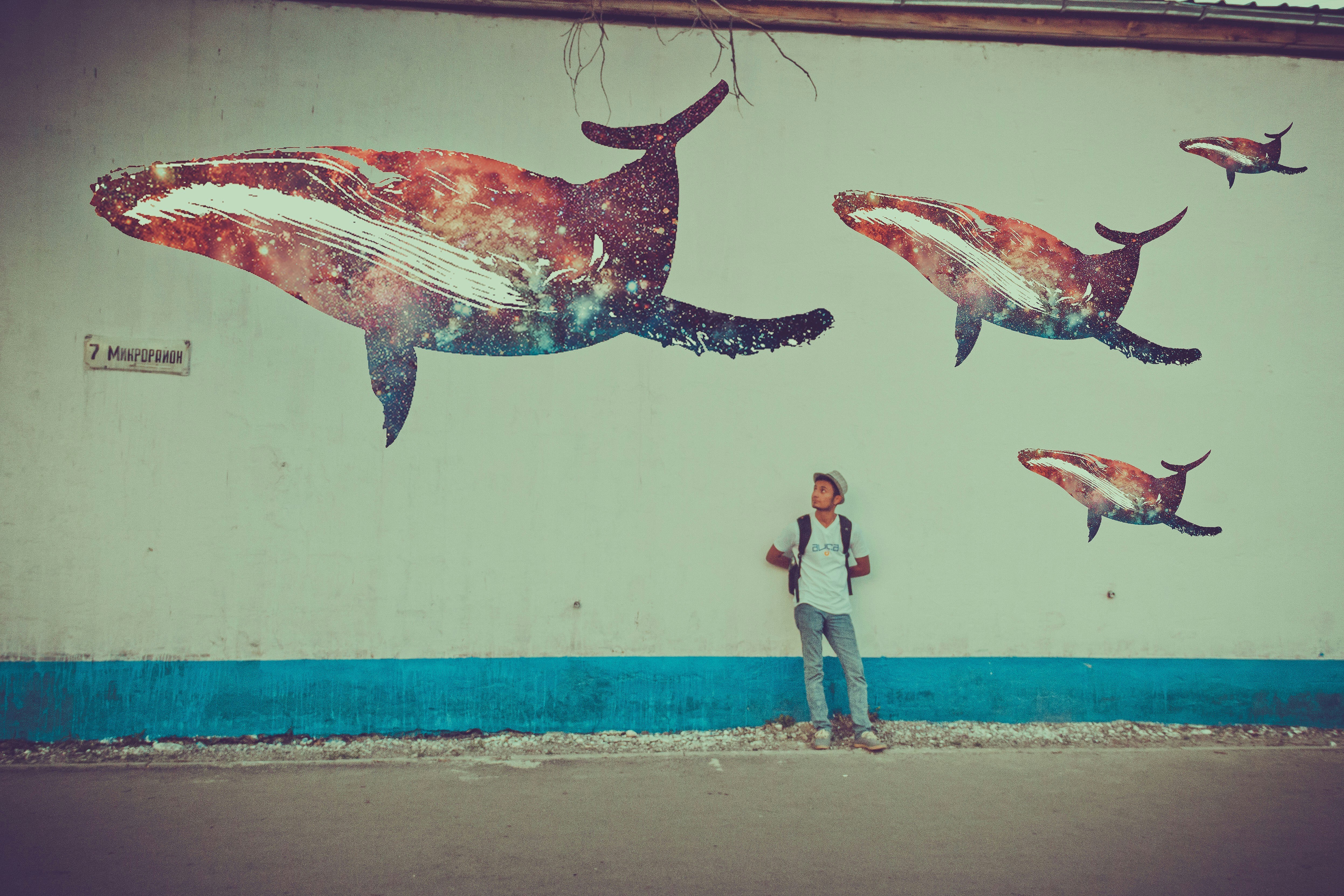 Crypto Whales Win at the Expense of Retail Investors