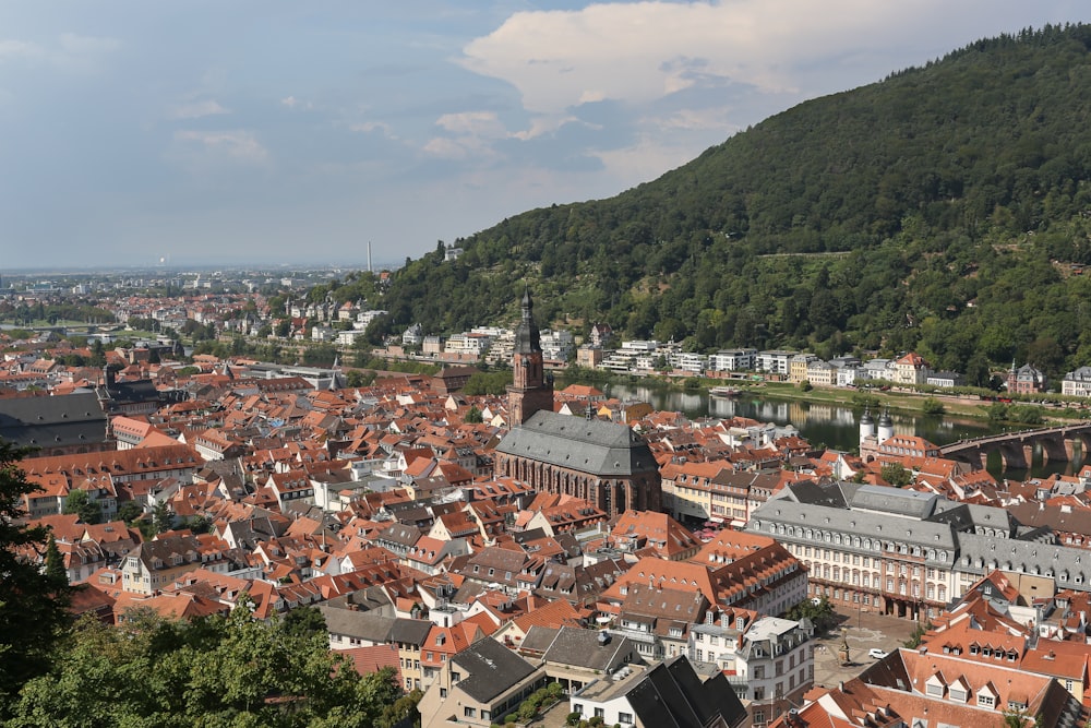 a view of a city with a mountain in the background