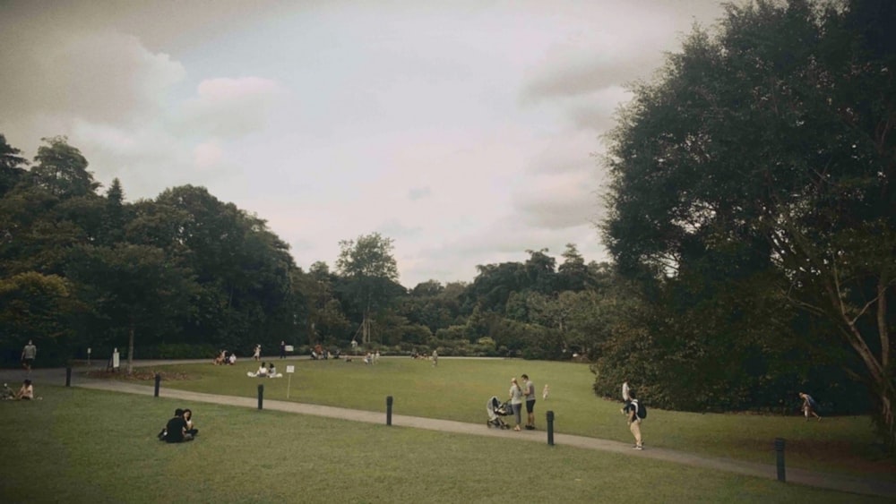 a group of people sitting on top of a lush green field