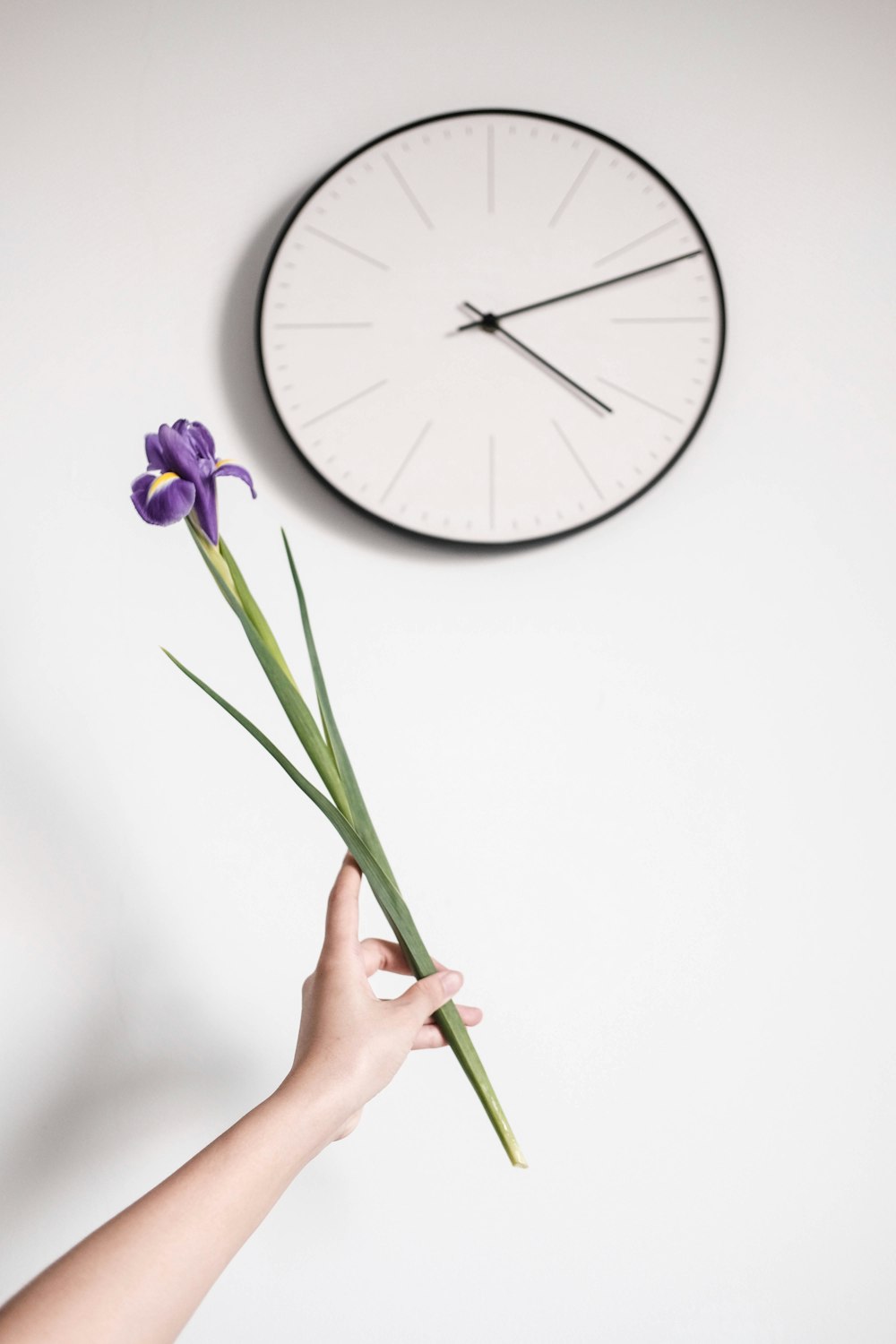 a person holding a flower in front of a clock