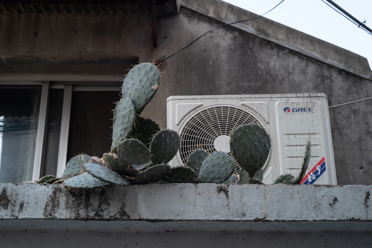 Air conditioning unit on a desert home roofline next to a cactus