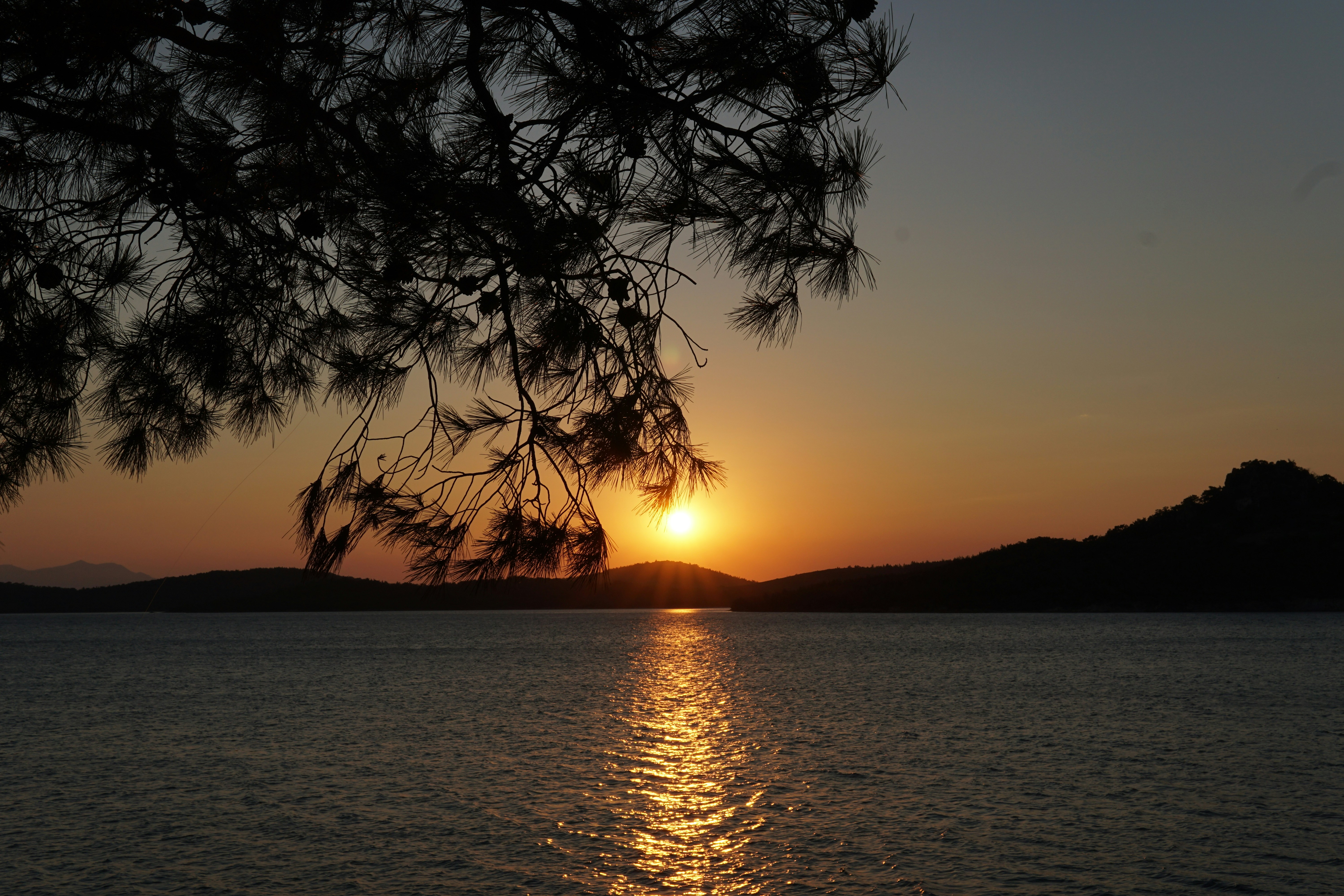 Photo by mertkahveci