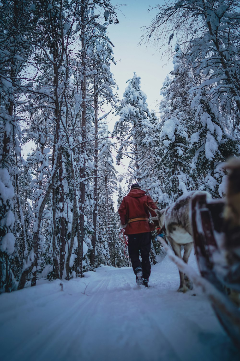 a person walking in the snow with a sled