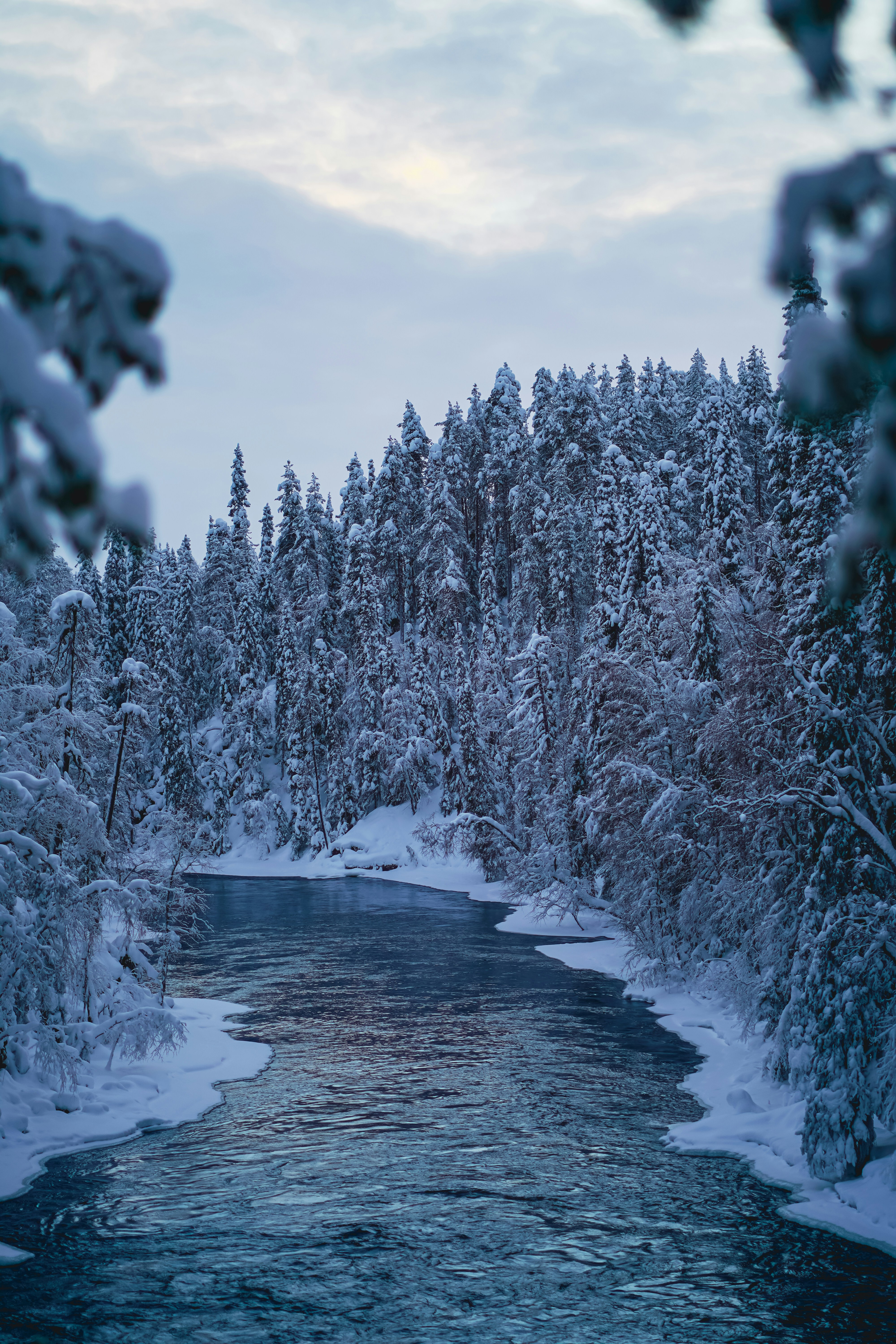 a river running through a snow covered forest