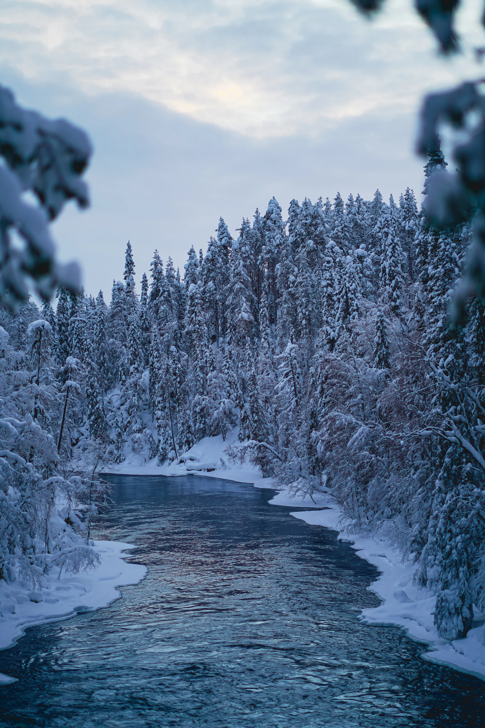 Forêt enneigée traversée par une rivière, en Finlande