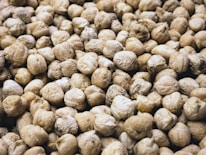 a close up of a bunch of nuts