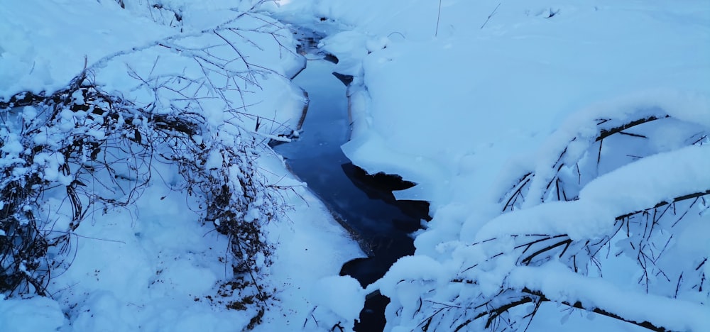 a stream running through a snow covered forest